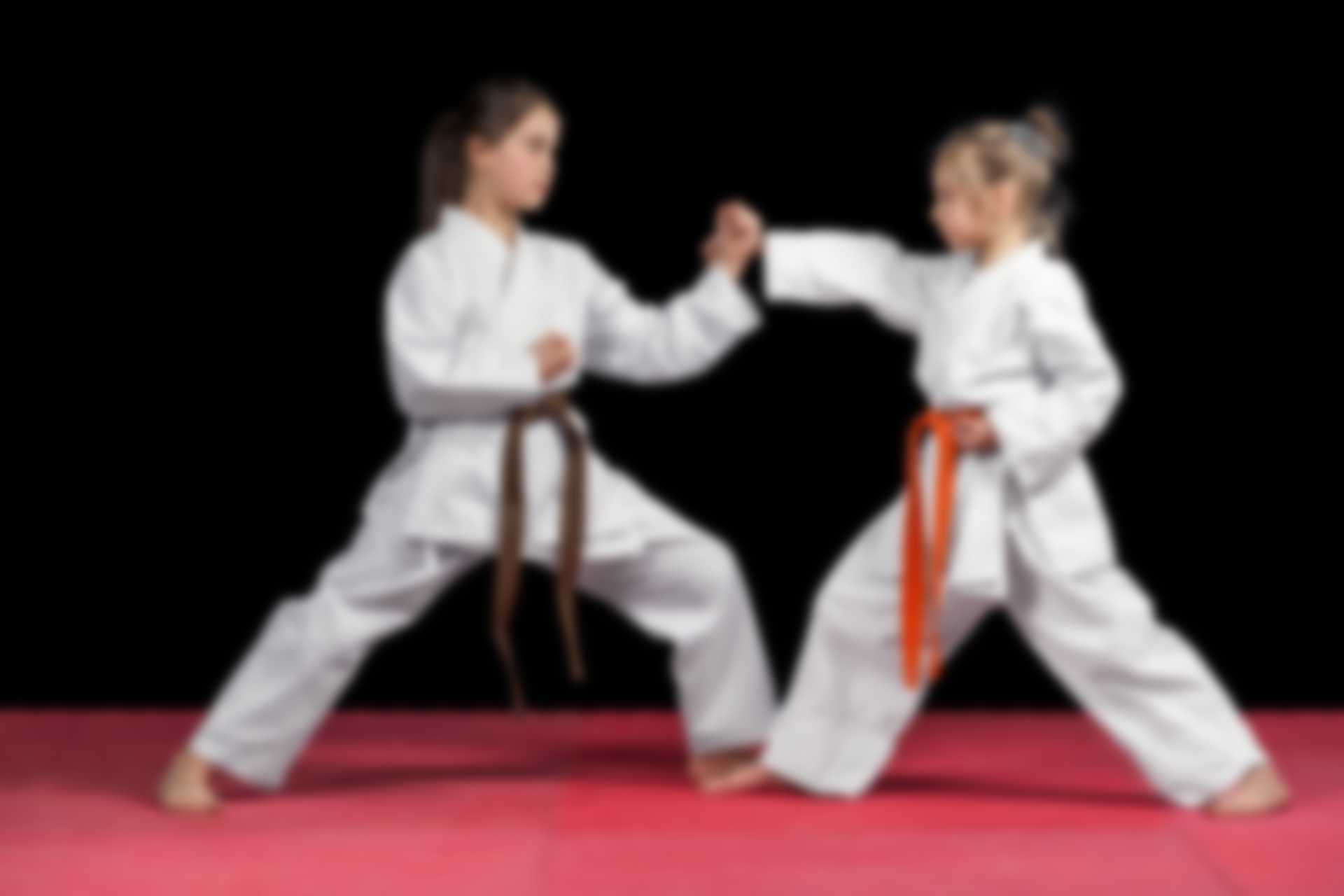 //taekwondoacademy.sk/wp-content/uploads/2018/02/img_11.jpg