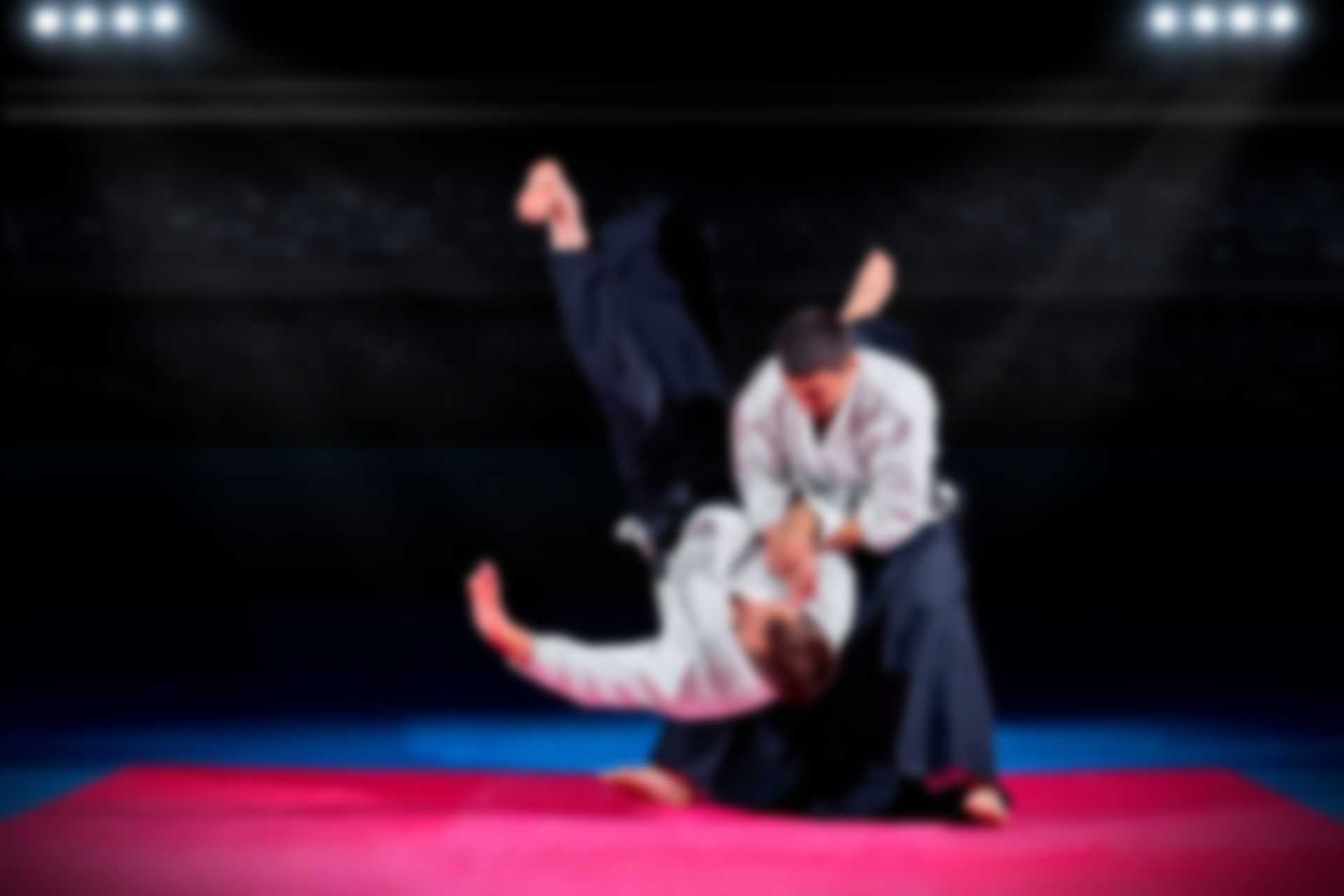 //taekwondoacademy.sk/wp-content/uploads/2018/02/img_24.jpg