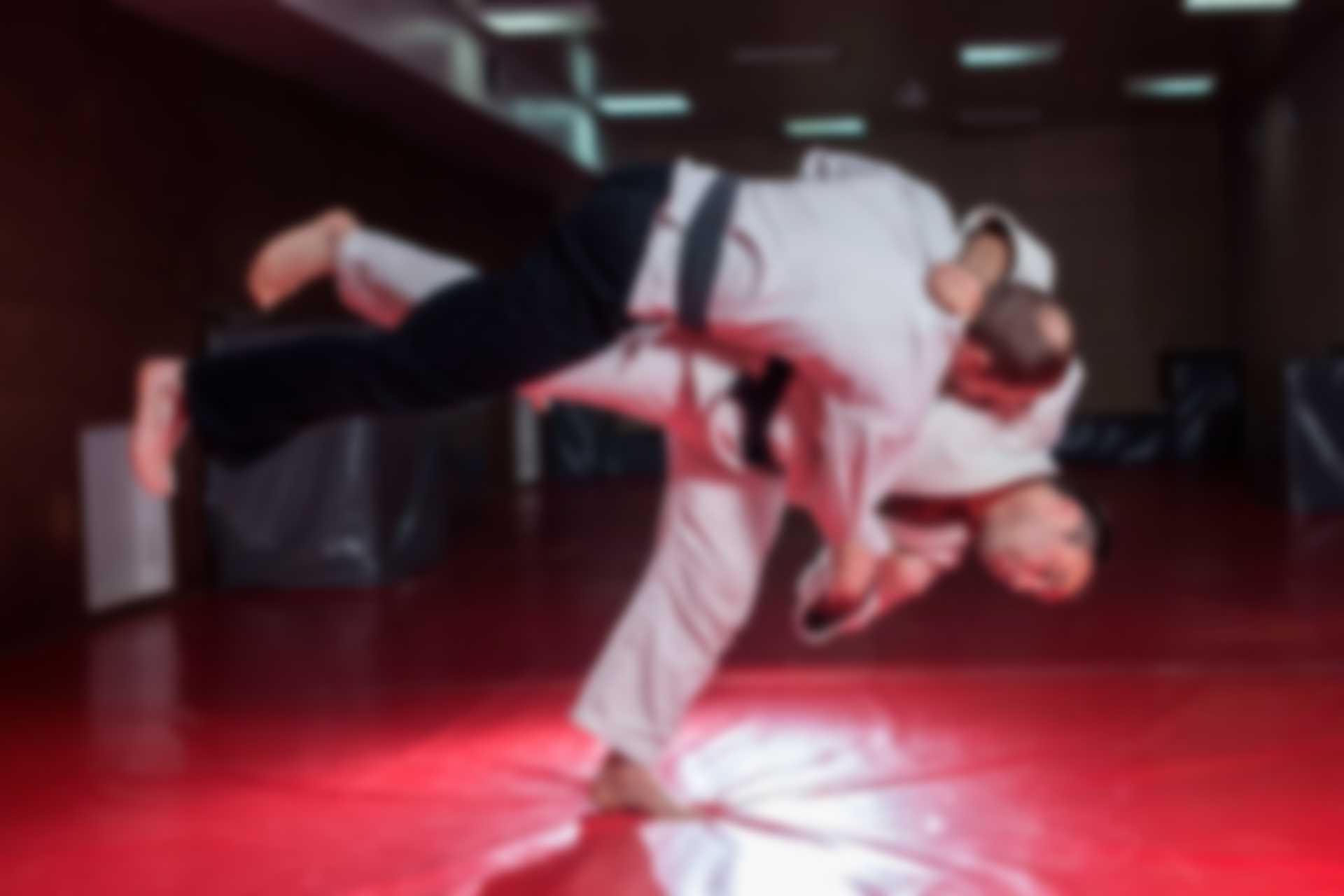 //taekwondoacademy.sk/wp-content/uploads/2018/02/img_25.jpg